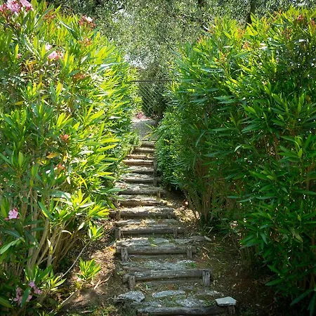 Al Vecchio Metato Σπίτι διακοπών Valgiano