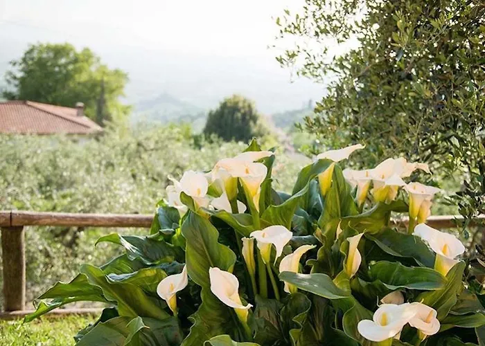 Al Vecchio Metato Дом отдыха *