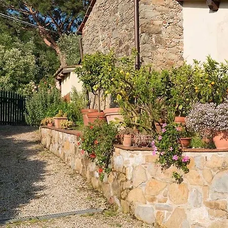 Al Vecchio Metato Holiday home Valgiano