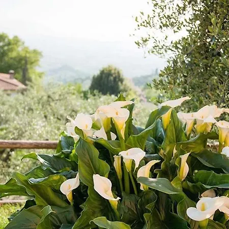 Al Vecchio Metato Holiday home *